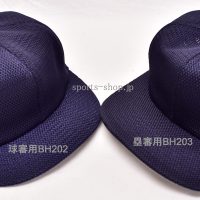 BH208