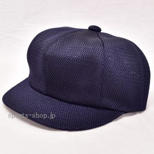 BH208