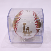 2024_WS-CHAMPIONS-LA
