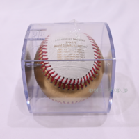 2024_WS-CHAMPIONS-LA