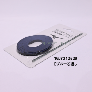 1GJYG12529