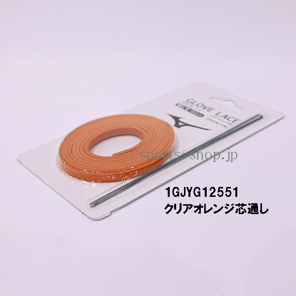 1GJYG12551