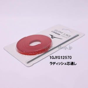 1GJYG12570
