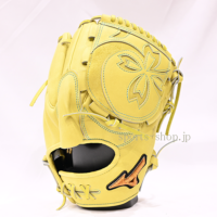 MPO-K-AXI-T31-C-4009-MP