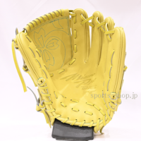 MPO-K-AXI-T31-C-4009-MP