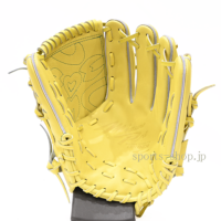 MPO-K-AXI-2-T55-C-4068-MP